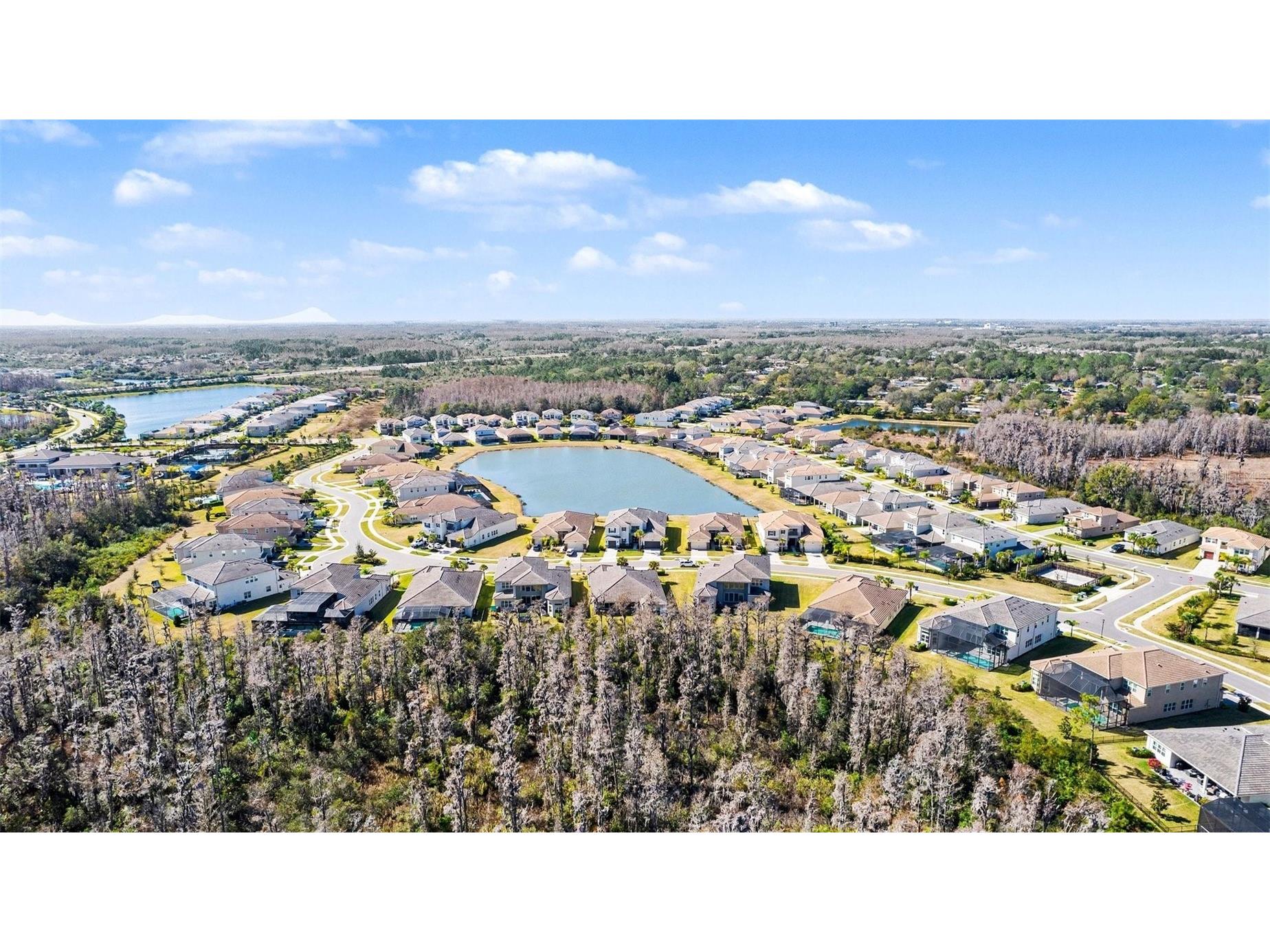 3263 Juniper Springs Street Wesley Chapel FL 33543 TB8468534 image38