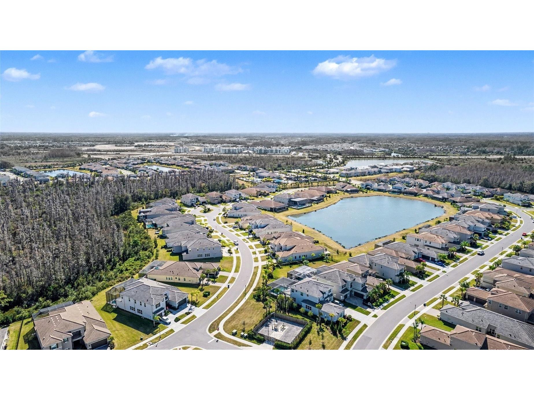 3263 Juniper Springs Street Wesley Chapel FL 33543 TB8468534 image39