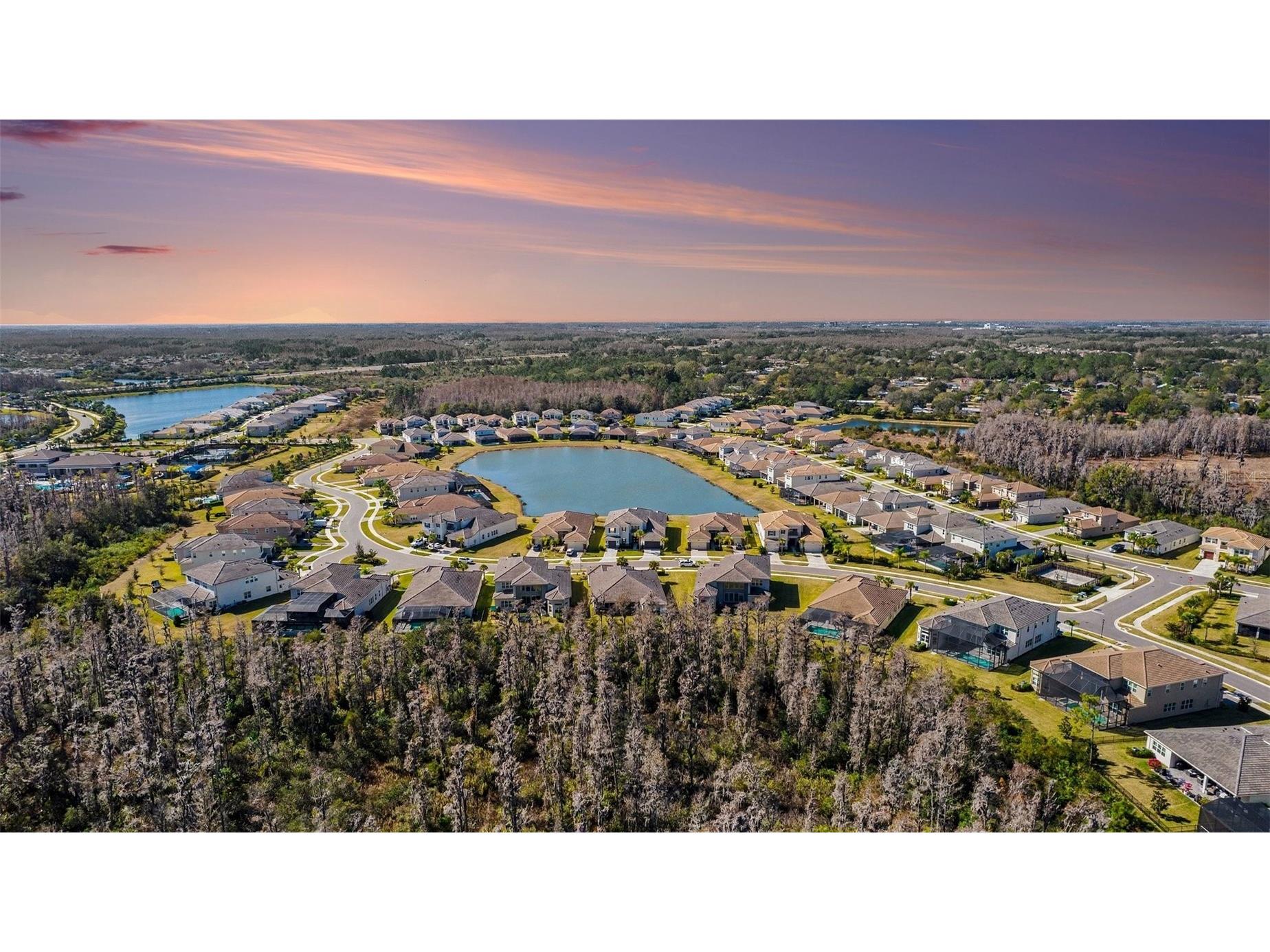 3263 Juniper Springs Street Wesley Chapel FL 33543 TB8468534 image47