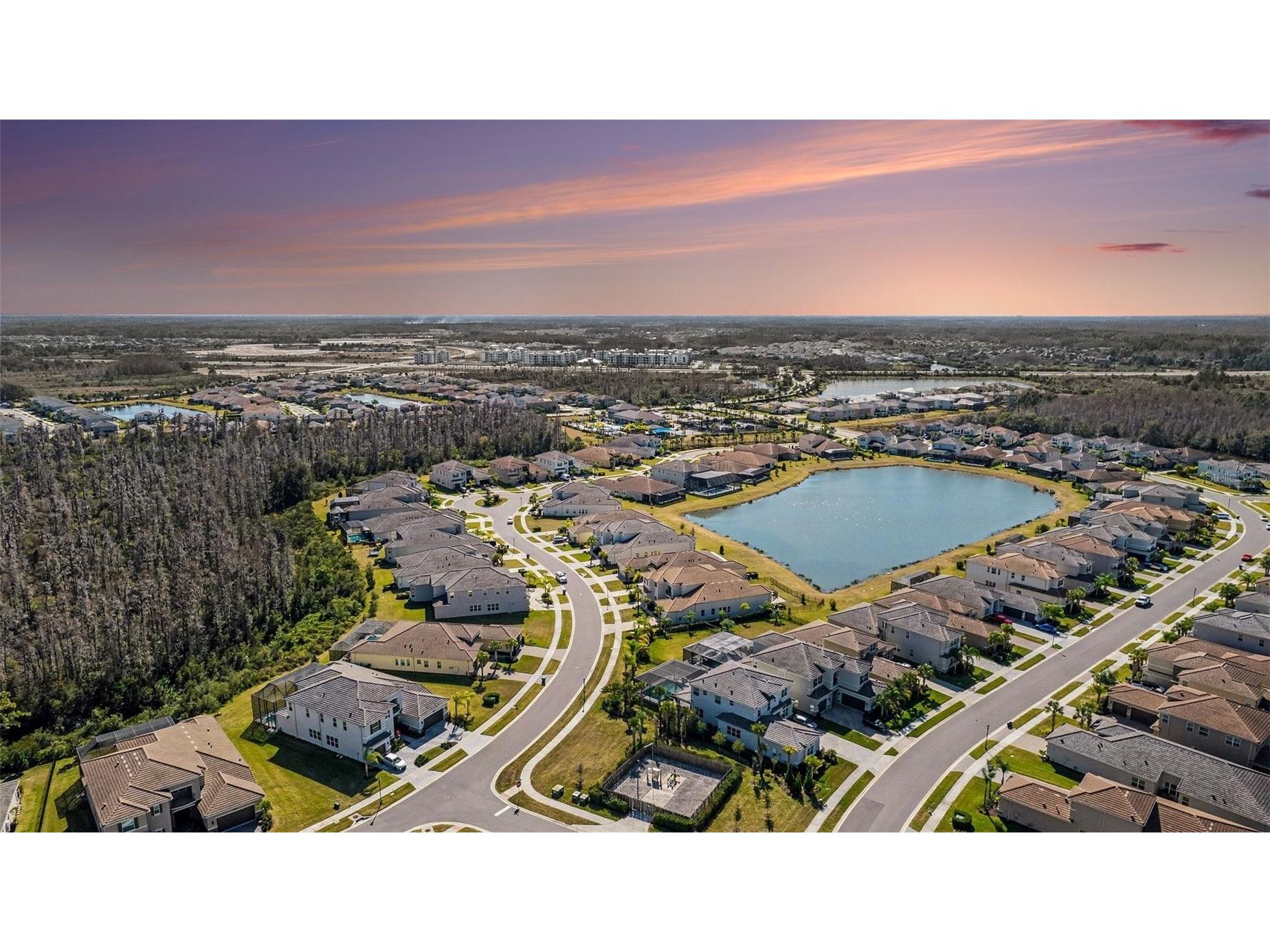 3263 Juniper Springs Street Wesley Chapel FL 33543 TB8468534 image48