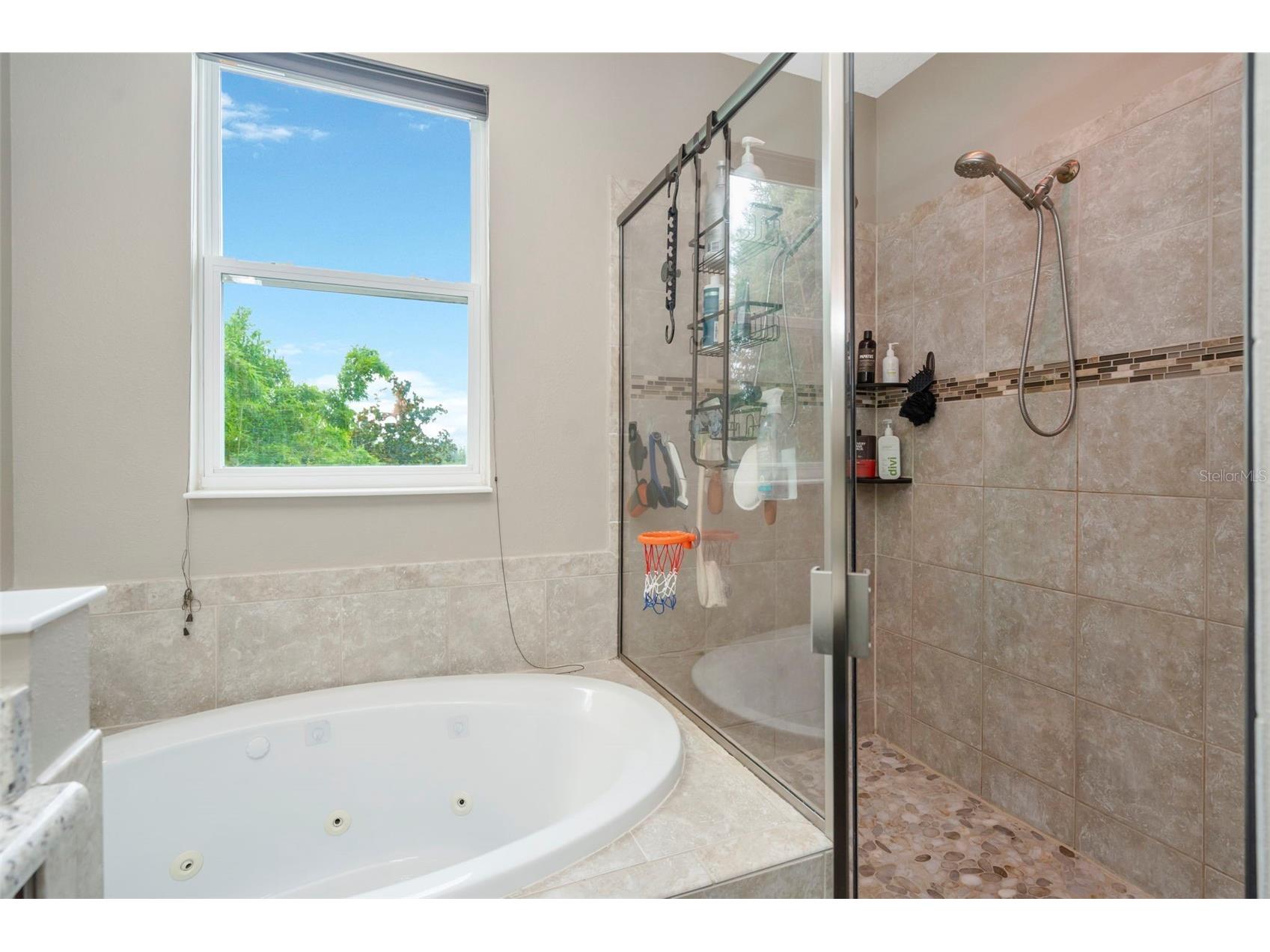 32630 Coldwater Creek Loop Wesley Chapel FL 33545 TB8522040 image23