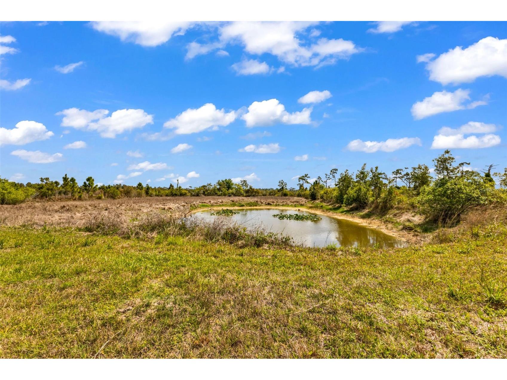 32634 Oil Well Road Punta Gorda FL 33955 C7524384 image47