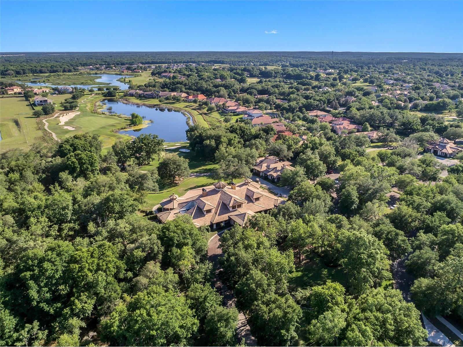 32637 View Haven Lane Sorrento FL 32776 O6400822 image65
