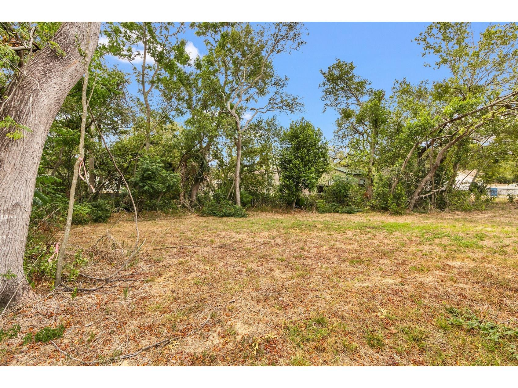 3264 Stephens Boulevard Spring Hill FL 34606 W7885426 image28