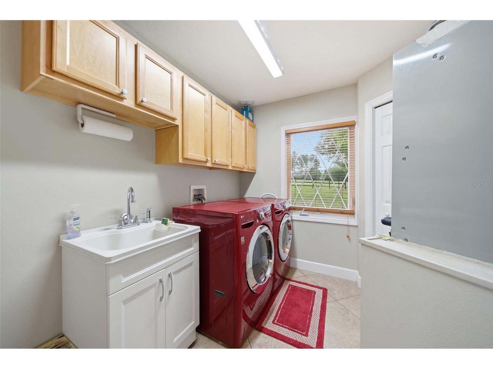 32640 Blueberry Hill Way Dade City FL 33523 TB8492670 image12