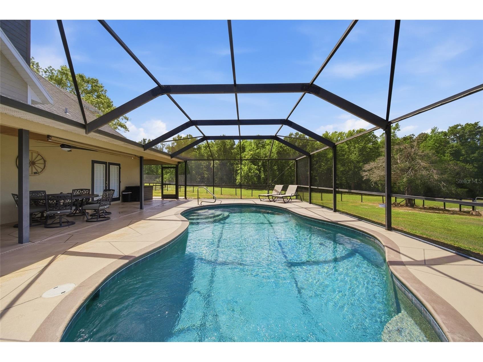 32640 Blueberry Hill Way Dade City FL 33523 TB8492670 image16