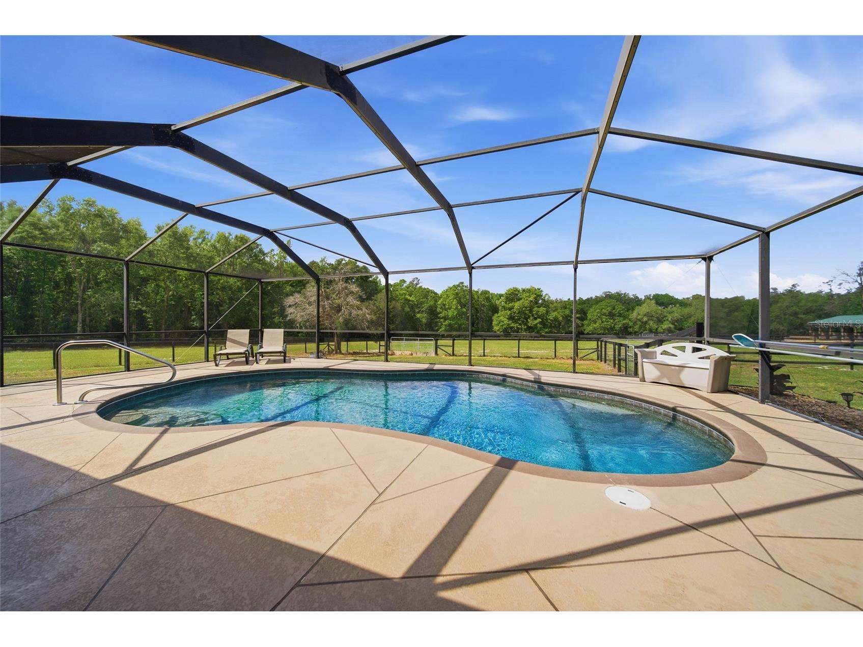 32640 Blueberry Hill Way Dade City FL 33523 TB8492670 image17