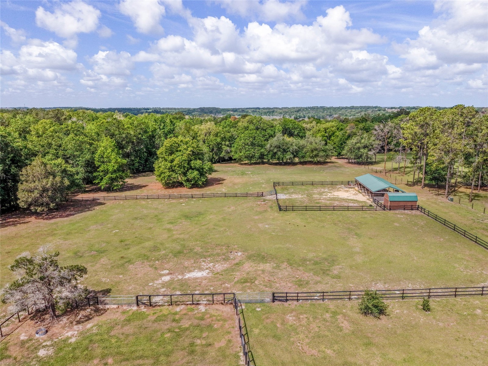 32640 Blueberry Hill Way Dade City FL 33523 TB8492670 image36