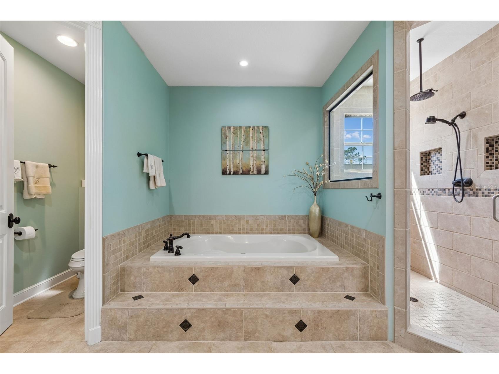 32641 Blueberry Hill Way Dade City FL 33523 TB8490233 image39