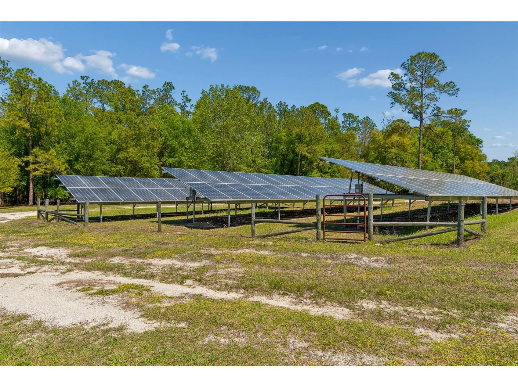 32641 Blueberry Hill Way Dade City FL 33523 TB8490233 image70