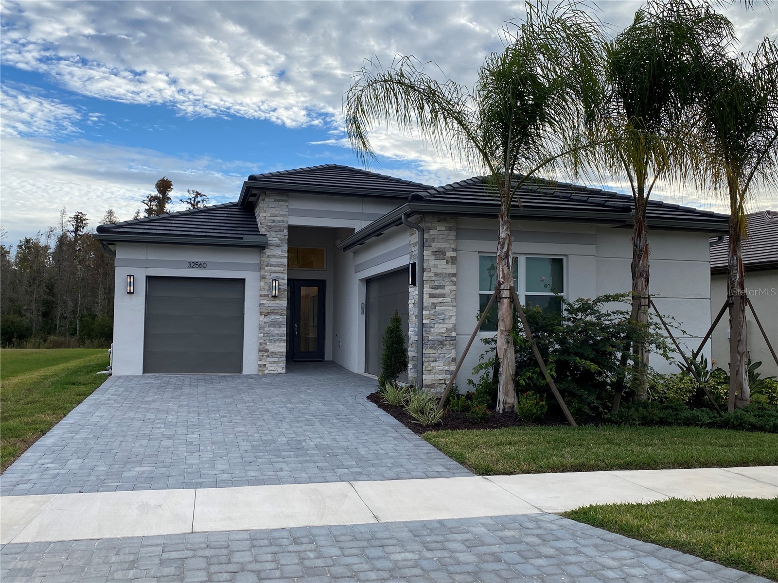 32643 Neroli Street Wesley Chapel FL 33543 - POND TB8454087 image1