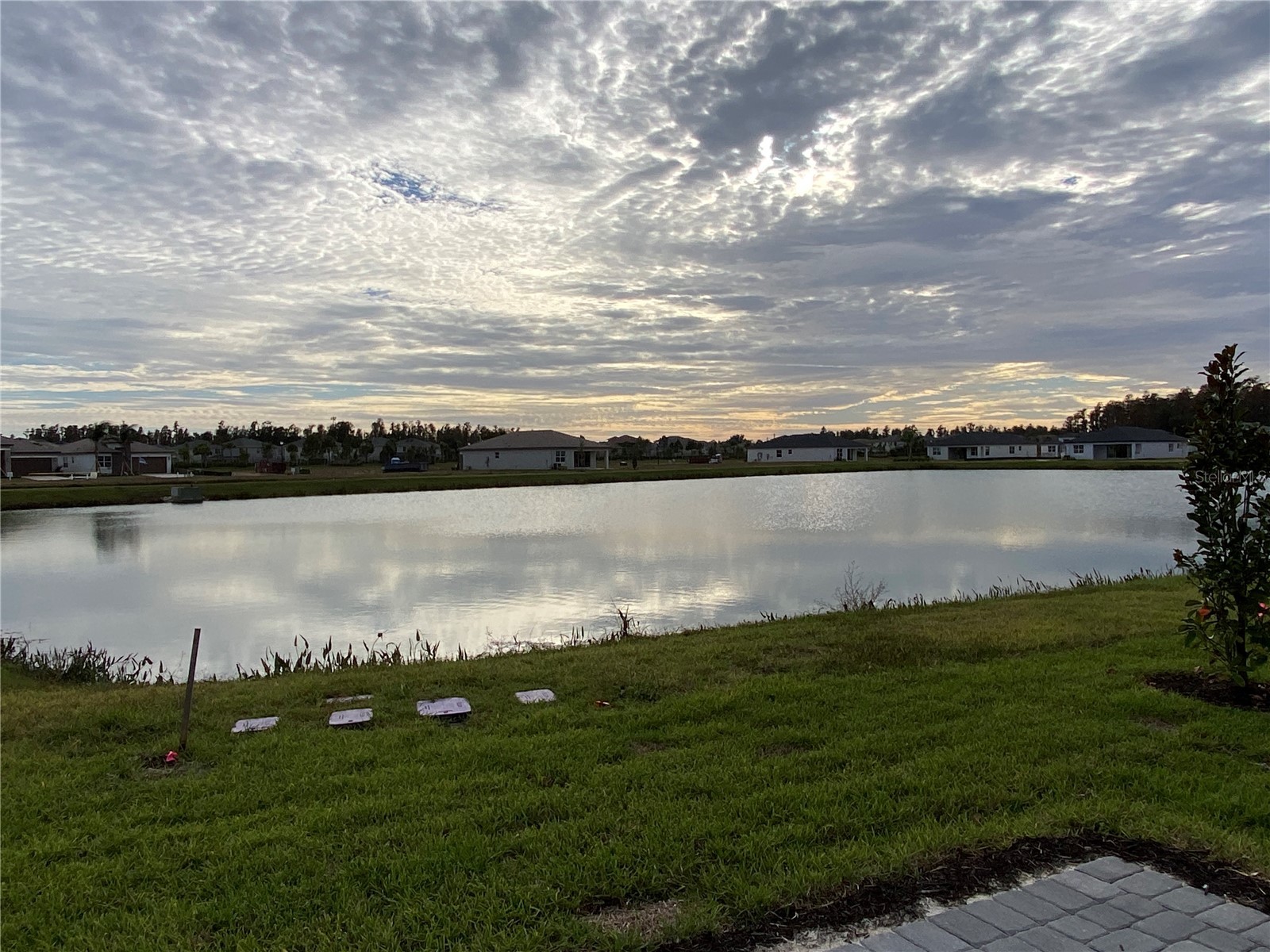 32643 Neroli Street Wesley Chapel FL 33543 - POND TB8454087 image4