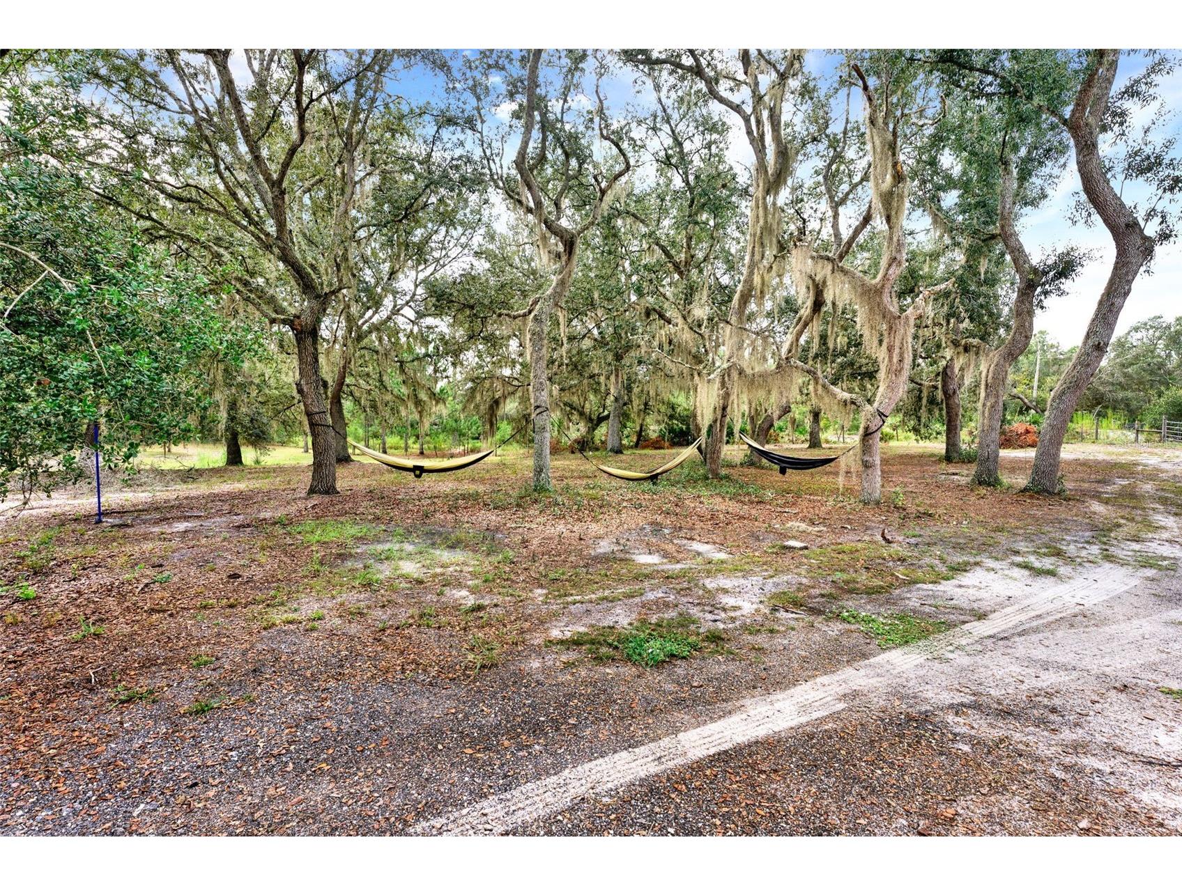 32645 Red Oak Drive Eustis FL 32736 O6343087 image21