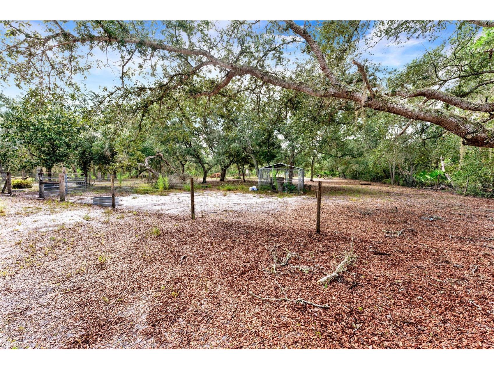 32645 Red Oak Drive Eustis FL 32736 O6343087 image22