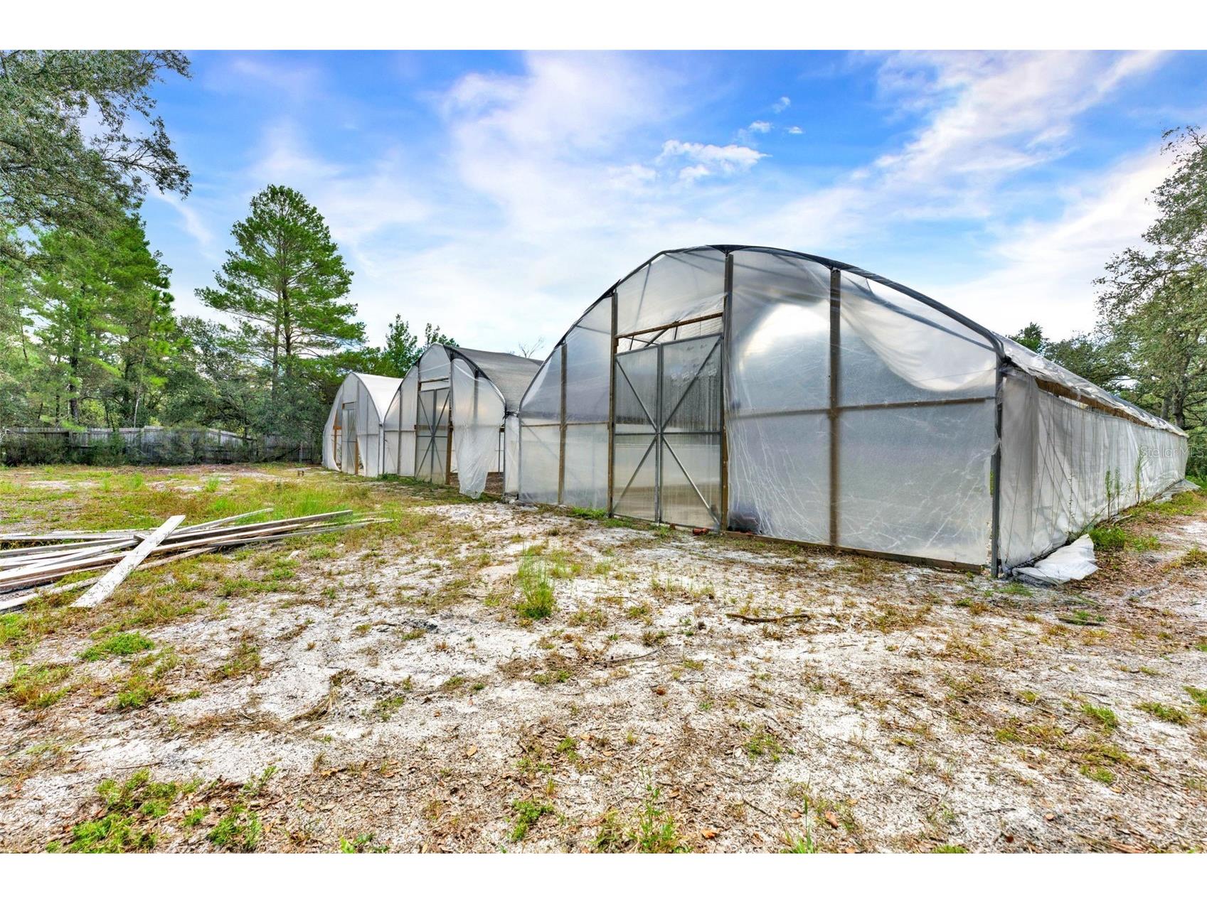 32645 Red Oak Drive Eustis FL 32736 O6343087 image30