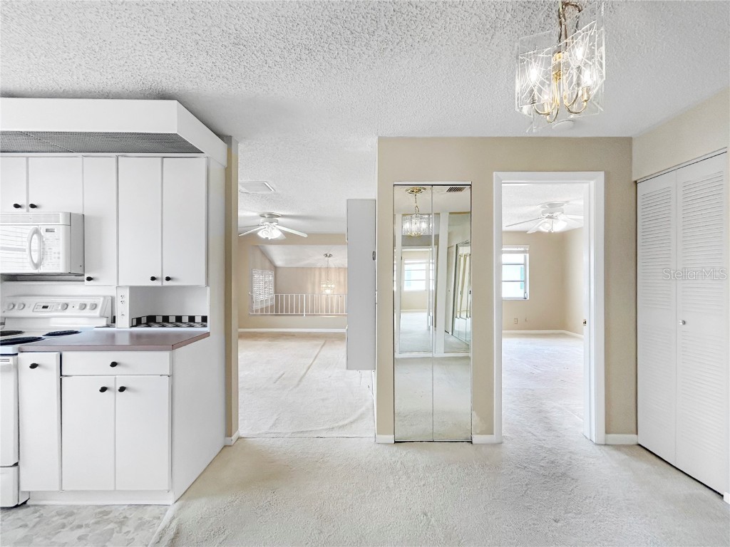 3265 40th Way S #E Saint Petersburg FL 33711 TB8403790 image14