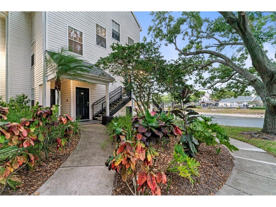 3265 Haviland Court #204 Palm Harbor FL 34684 T3526512 image1