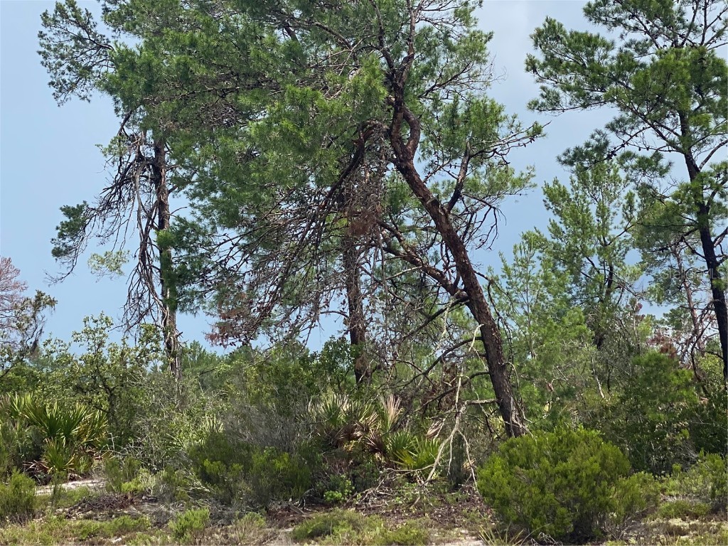 3265 Lake June Boulevard Lake Placid FL 33852 P4926094 image1