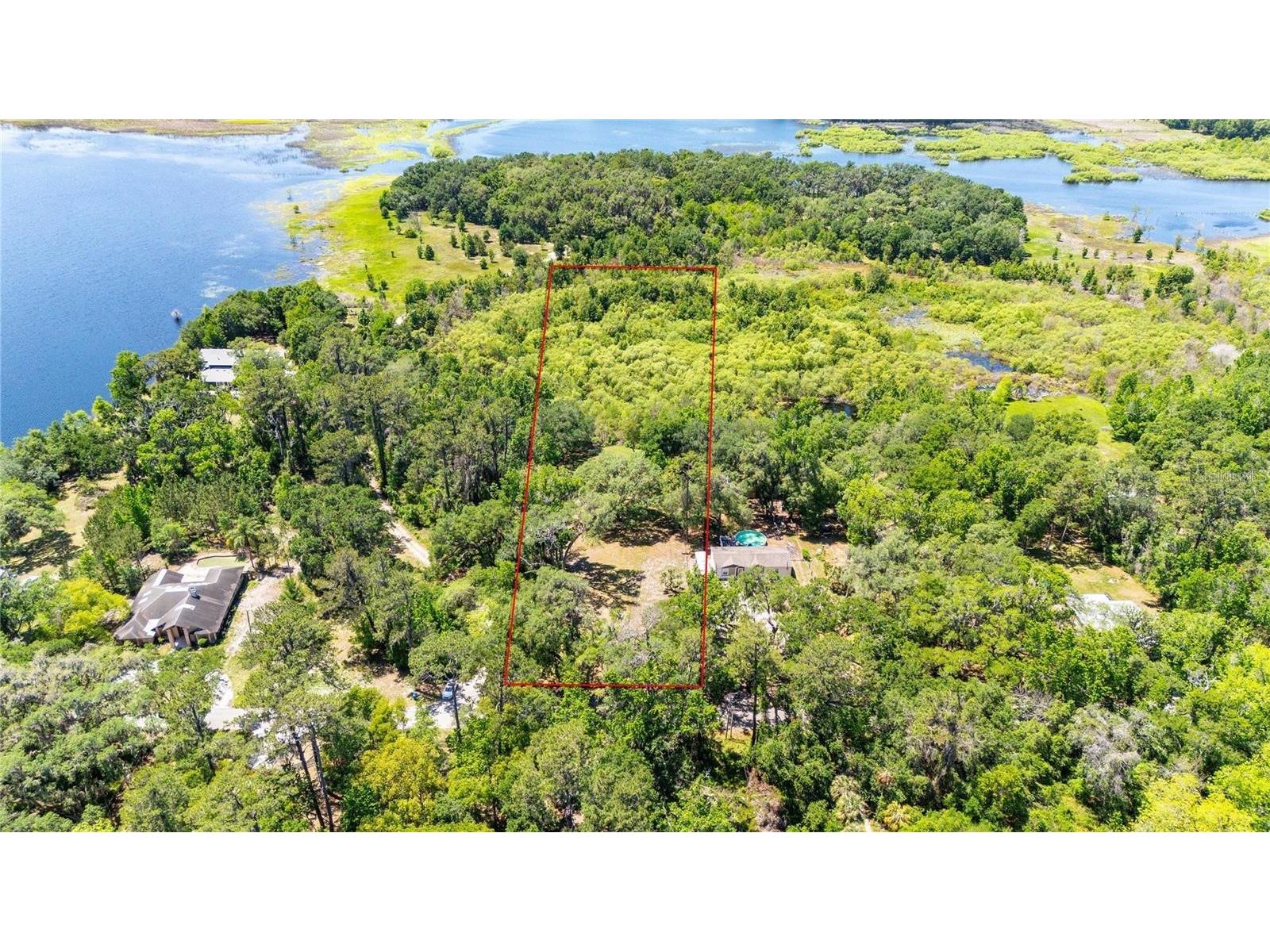 3265 Neff Lake Road Brooksville FL 34602 - NEFF LAKE TB8486017 image2