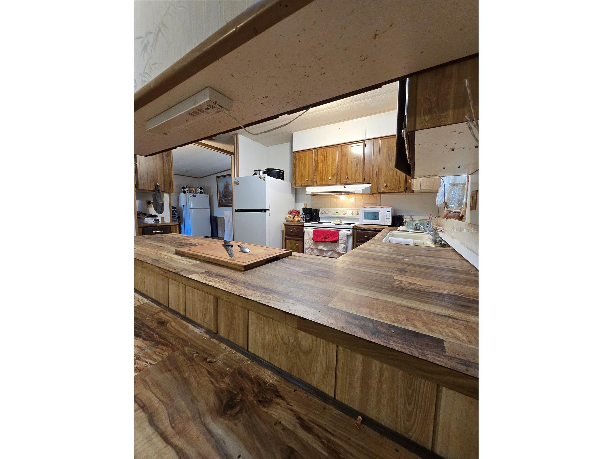 3265 SE 132nd Place Belleview FL 34420 OM727545 image48