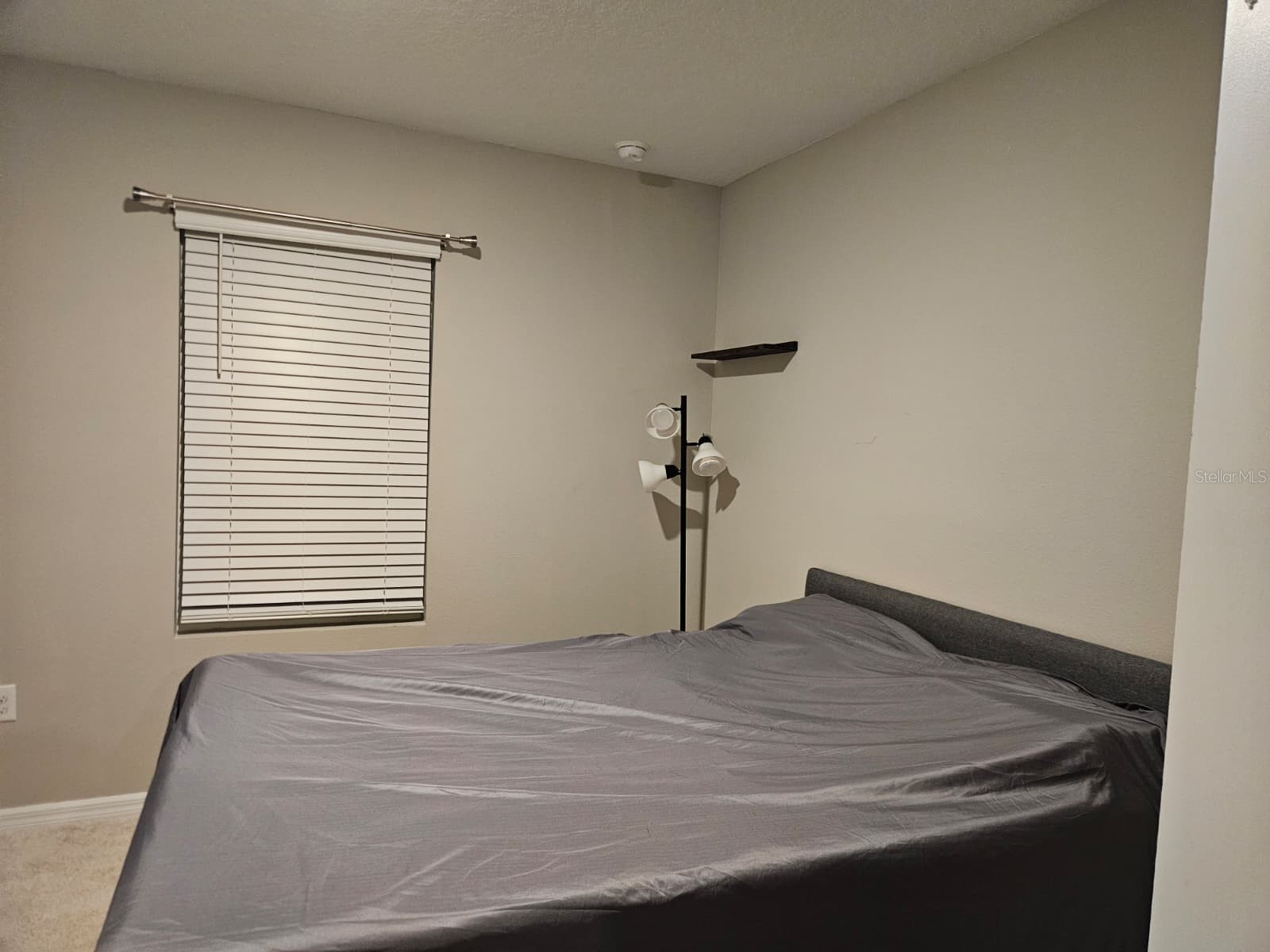 32650 Osprey Peak Way San Antonio FL 33576 TB8514196 image9