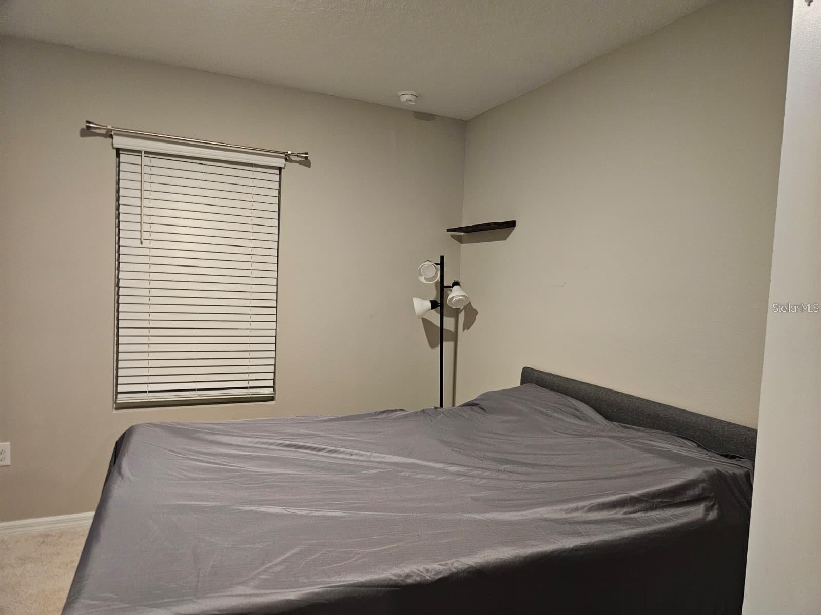 32650 Osprey Peak Way San Antonio FL 33576 TB8525972 image15