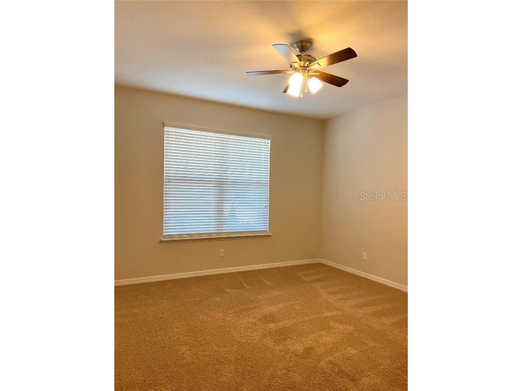 32652 Coldwater Creek Loop Wesley Chapel FL 33545 TB8433477 image12