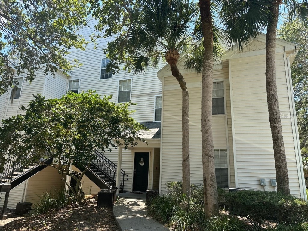 3266 Haviland Court #101 Palm Harbor FL 34684 U8204173 image1