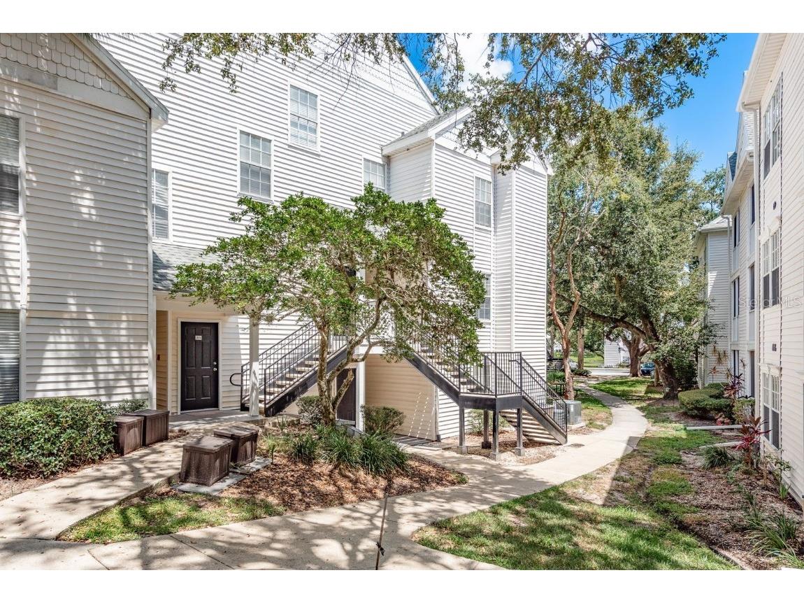 3266 Haviland Court #203 Palm Harbor FL 34684 TB8422867 image1