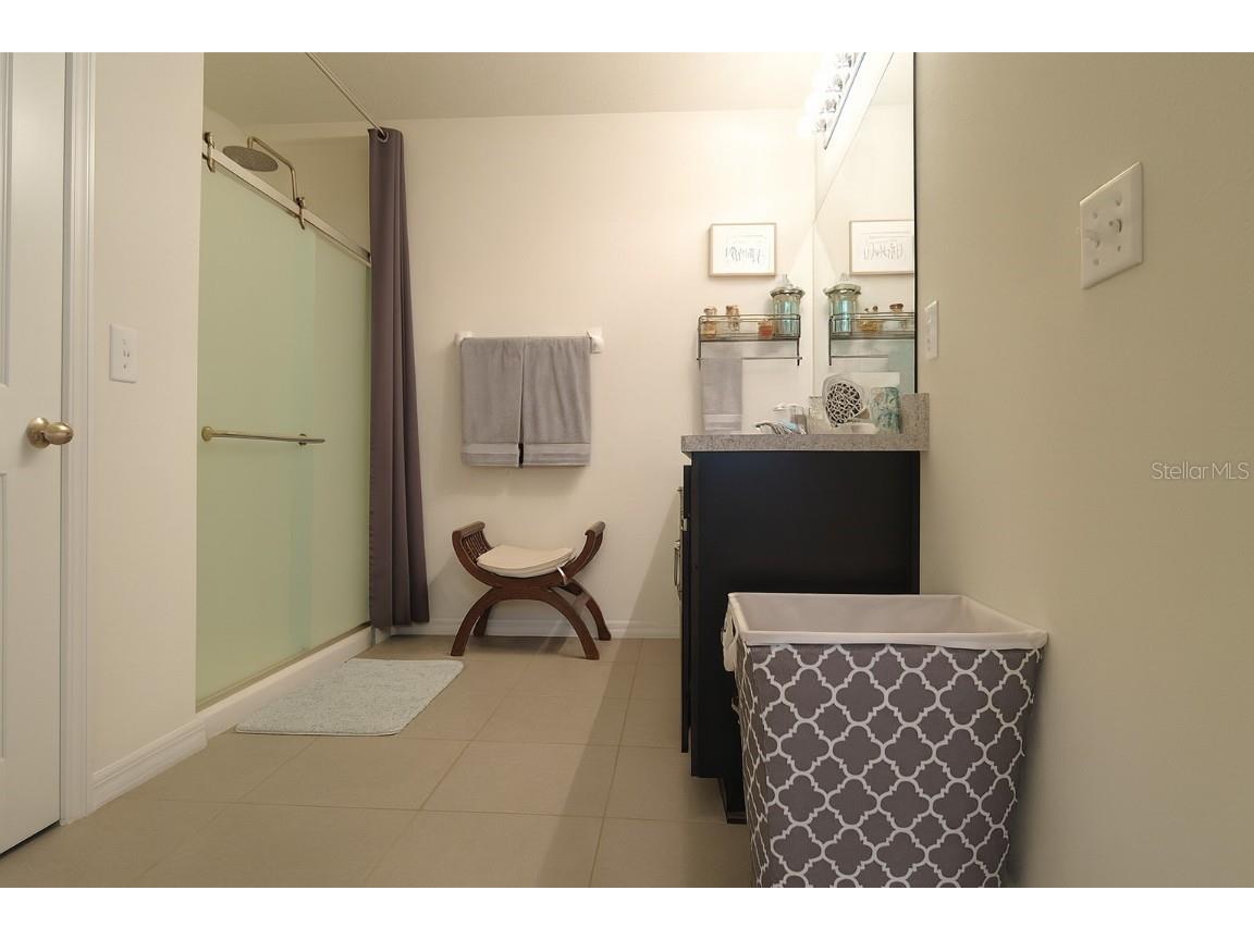 32662 Brooks Hawk Lane Wesley Chapel FL 33543 TB8454825 image11