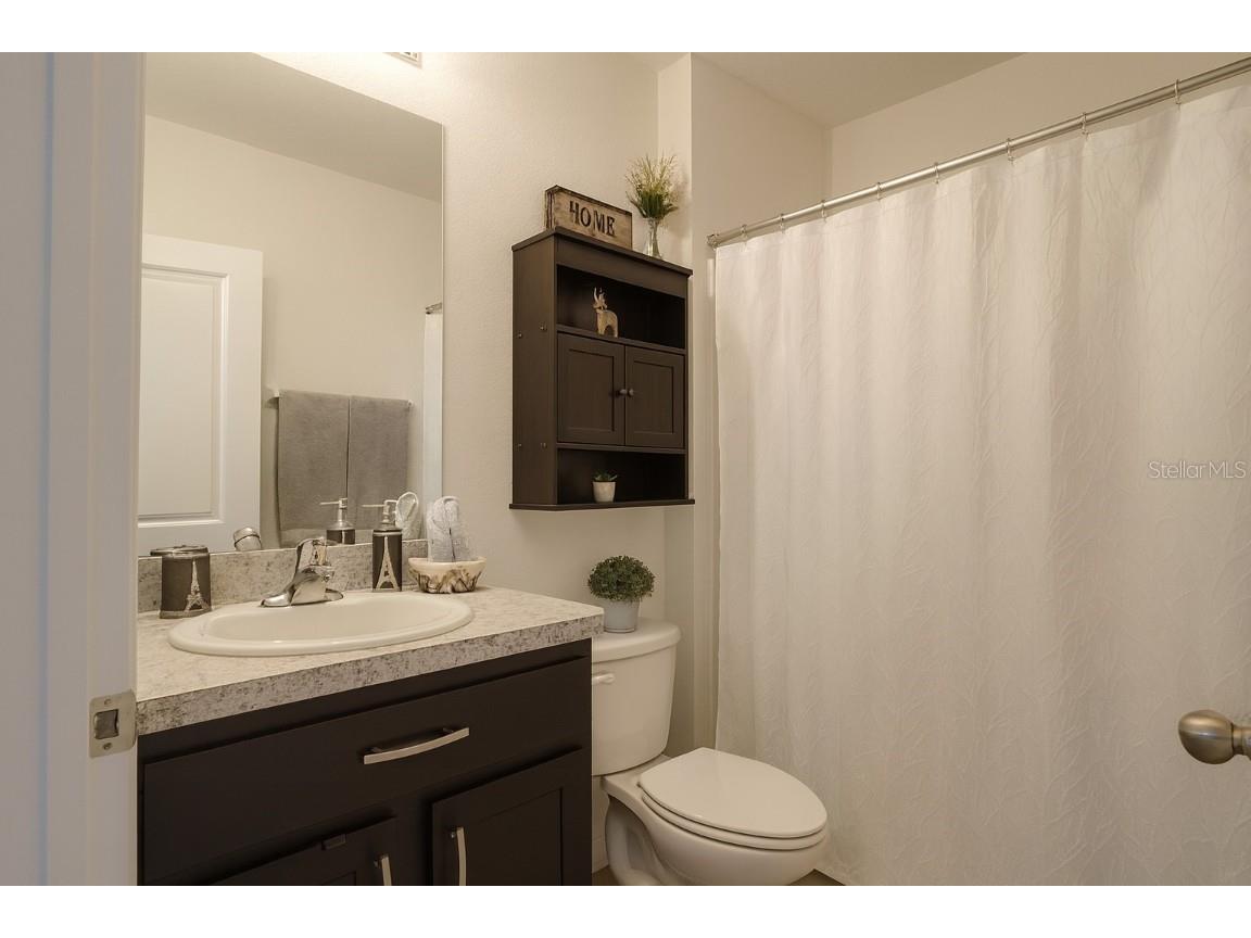 32662 Brooks Hawk Lane Wesley Chapel FL 33543 TB8454825 image14