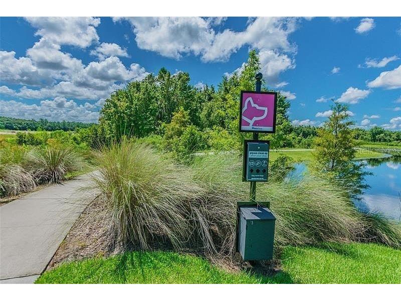 32662 Brooks Hawk Lane Wesley Chapel FL 33543 TB8454825 image22