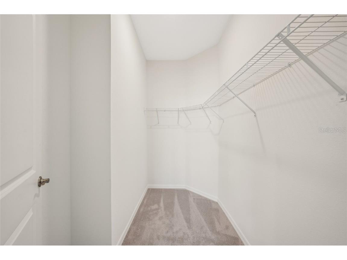 32665 Rustic Rise Road San Antonio FL 33576 TB8458361 image37