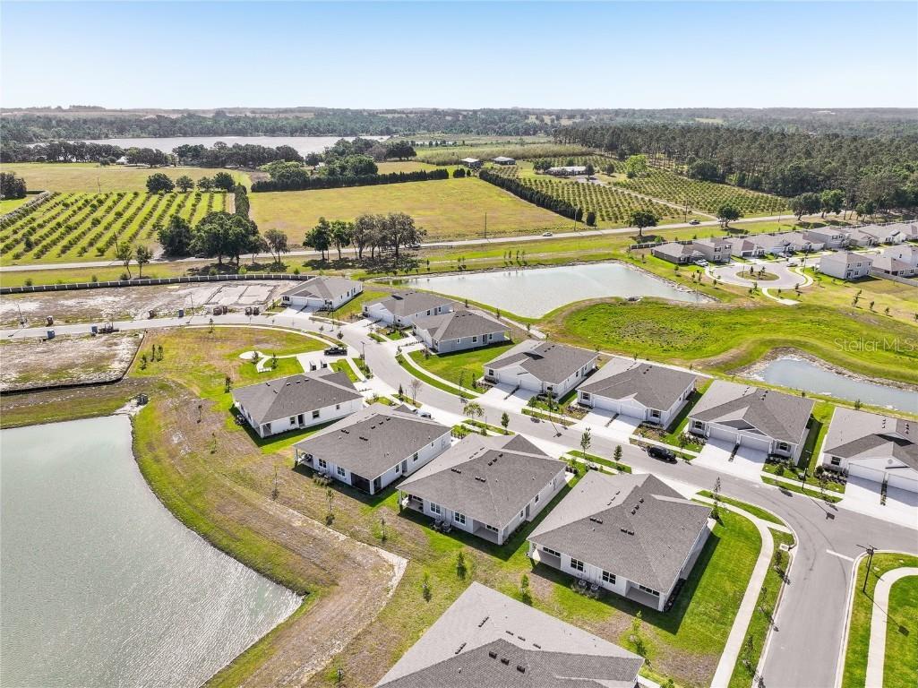 32665 Rustic Rise Road San Antonio FL 33576 TB8458361 image54