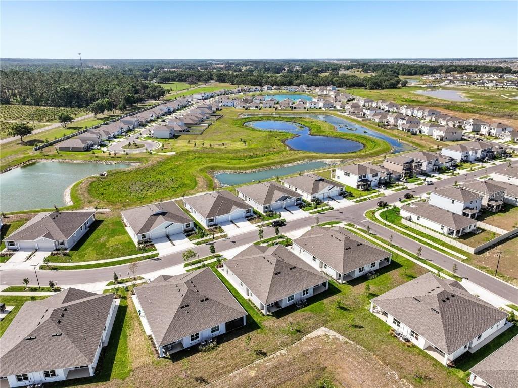 32665 Rustic Rise Road San Antonio FL 33576 TB8458361 image55