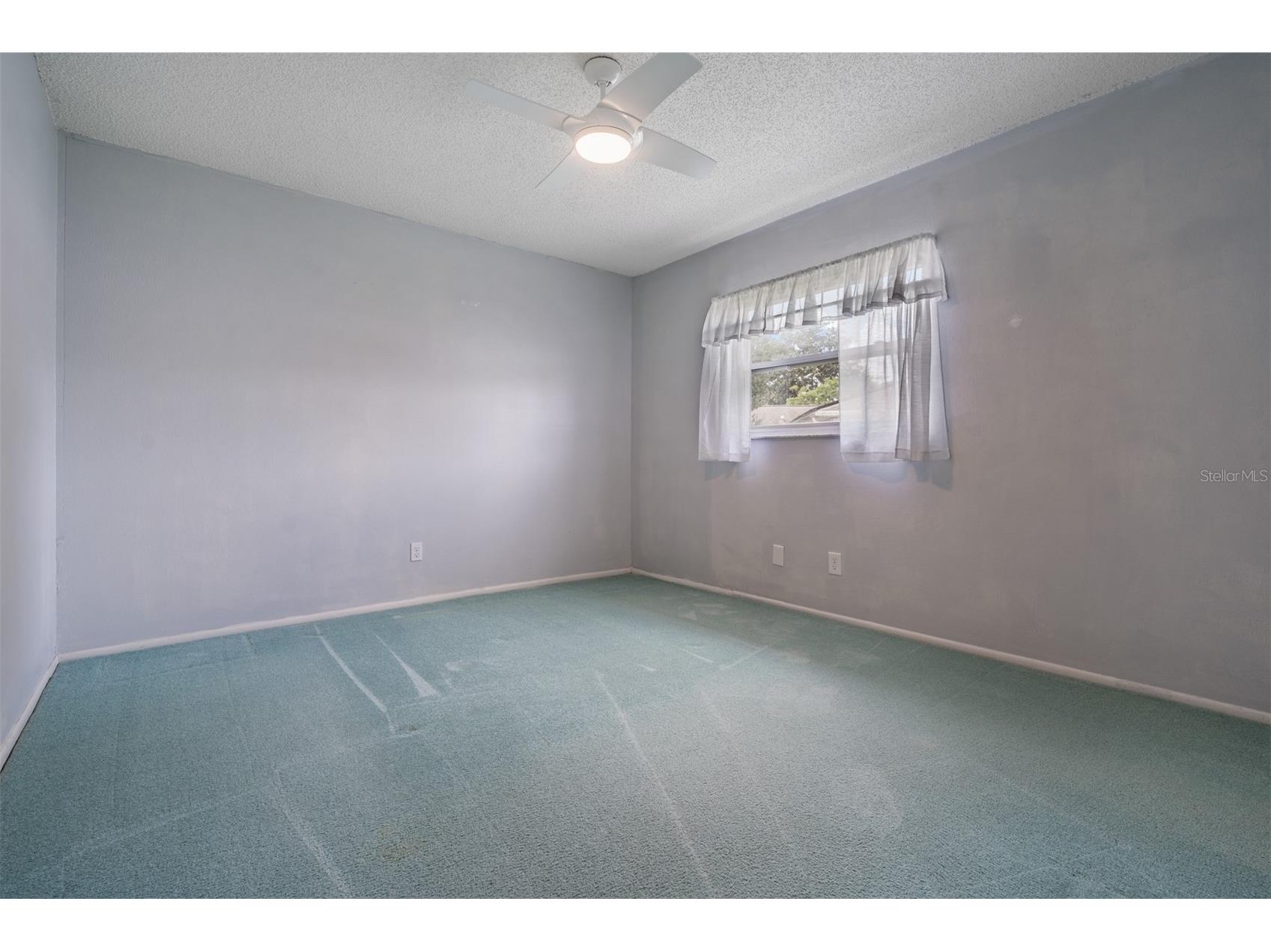 3267 Springwood Drive Clearwater FL 33761 TB8494407 image21