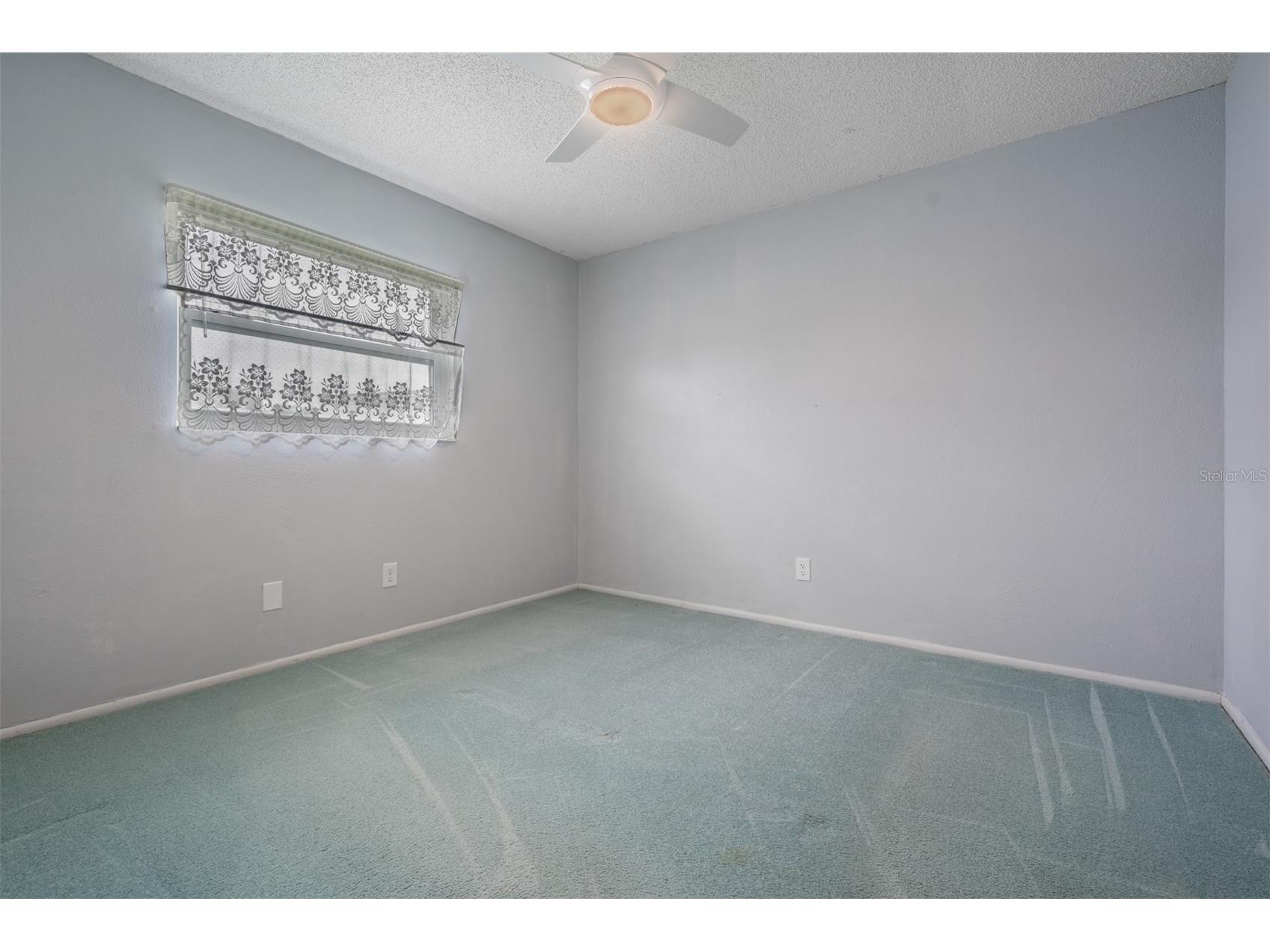 3267 Springwood Drive Clearwater FL 33761 TB8494407 image22