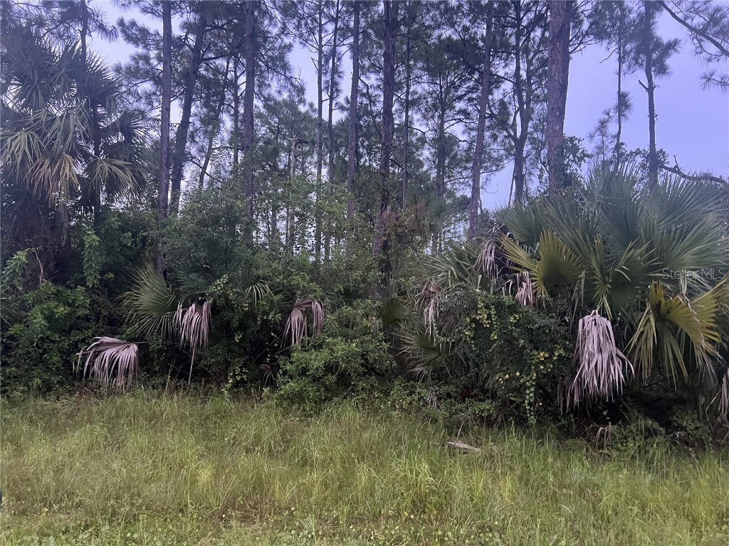 3267 Westover Avenue SE Palm Bay FL 32909 S5112863 image1