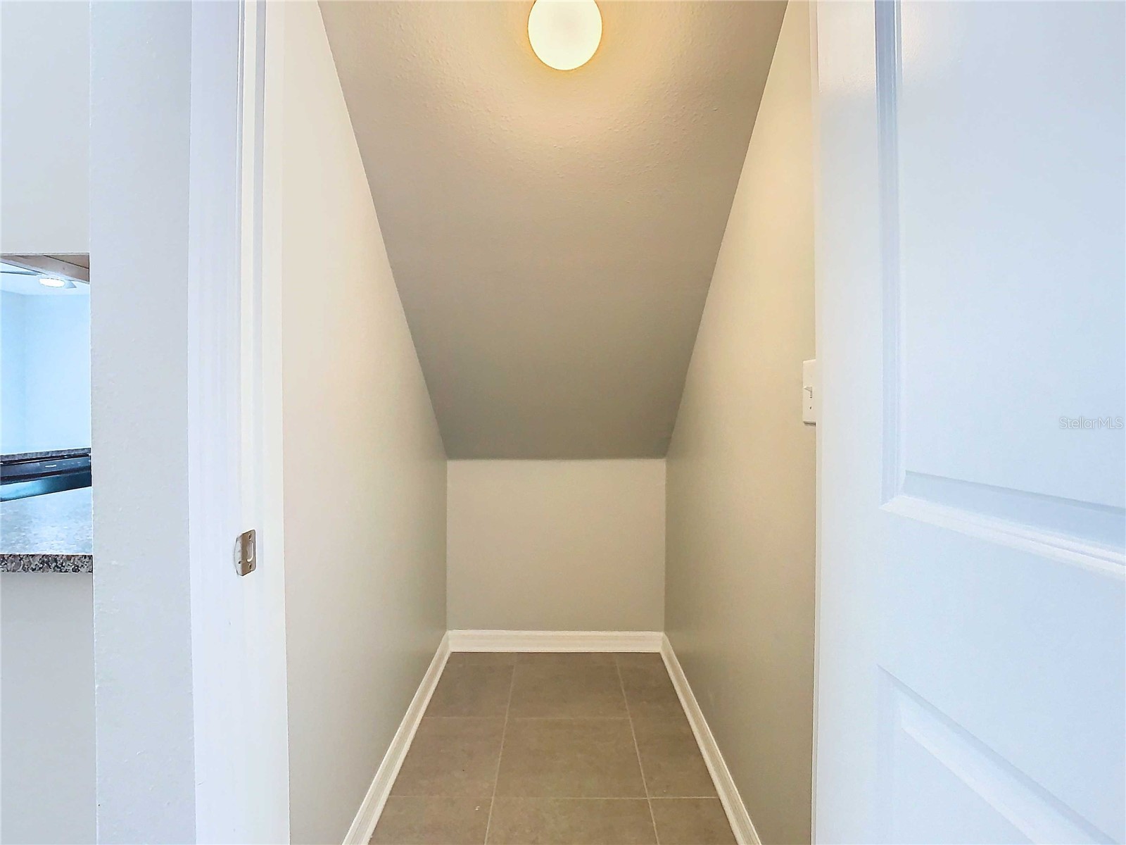 32670 Ansley Bloom Lane Wesley Chapel FL 33543 TB8519105 image17