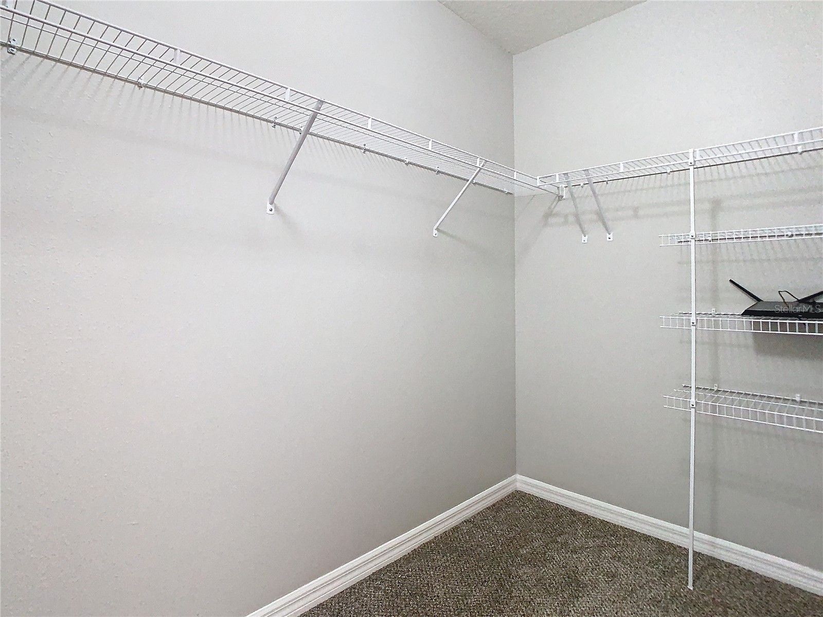 32670 Ansley Bloom Lane Wesley Chapel FL 33543 TB8519105 image28
