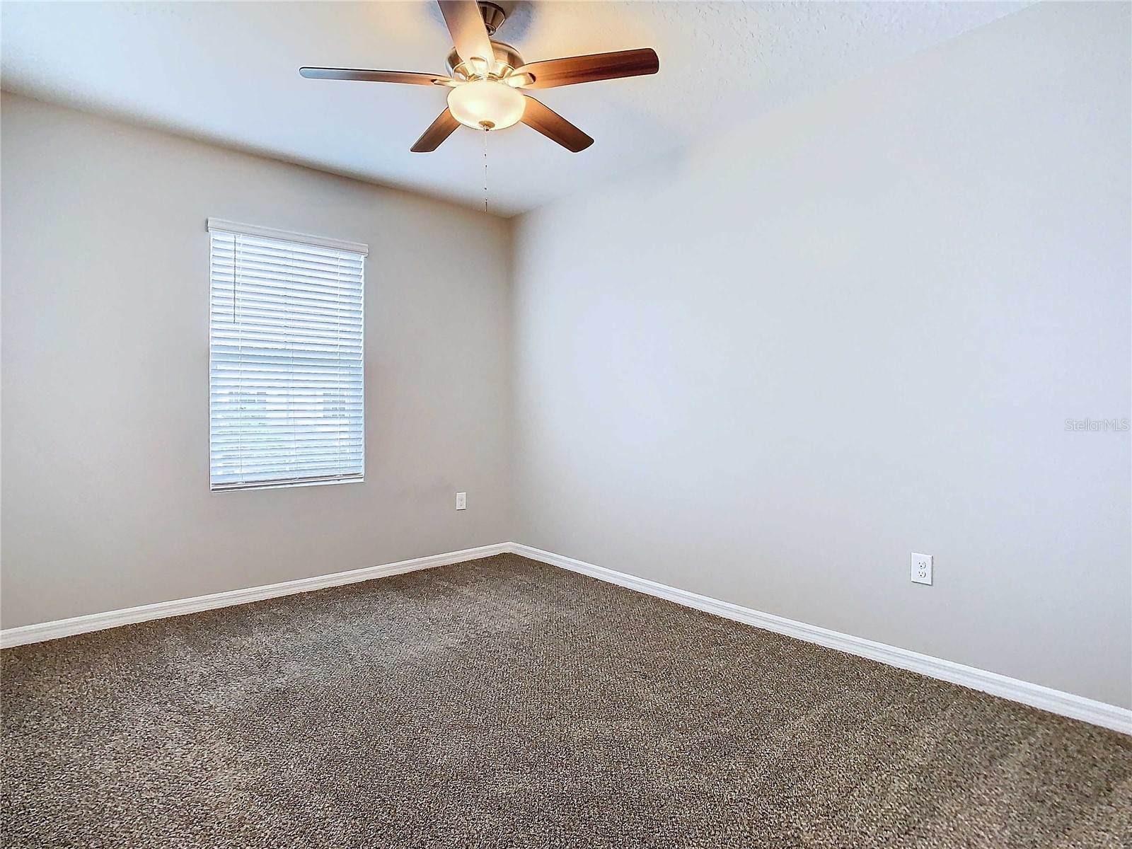 32670 Ansley Bloom Lane Wesley Chapel FL 33543 TB8519105 image33