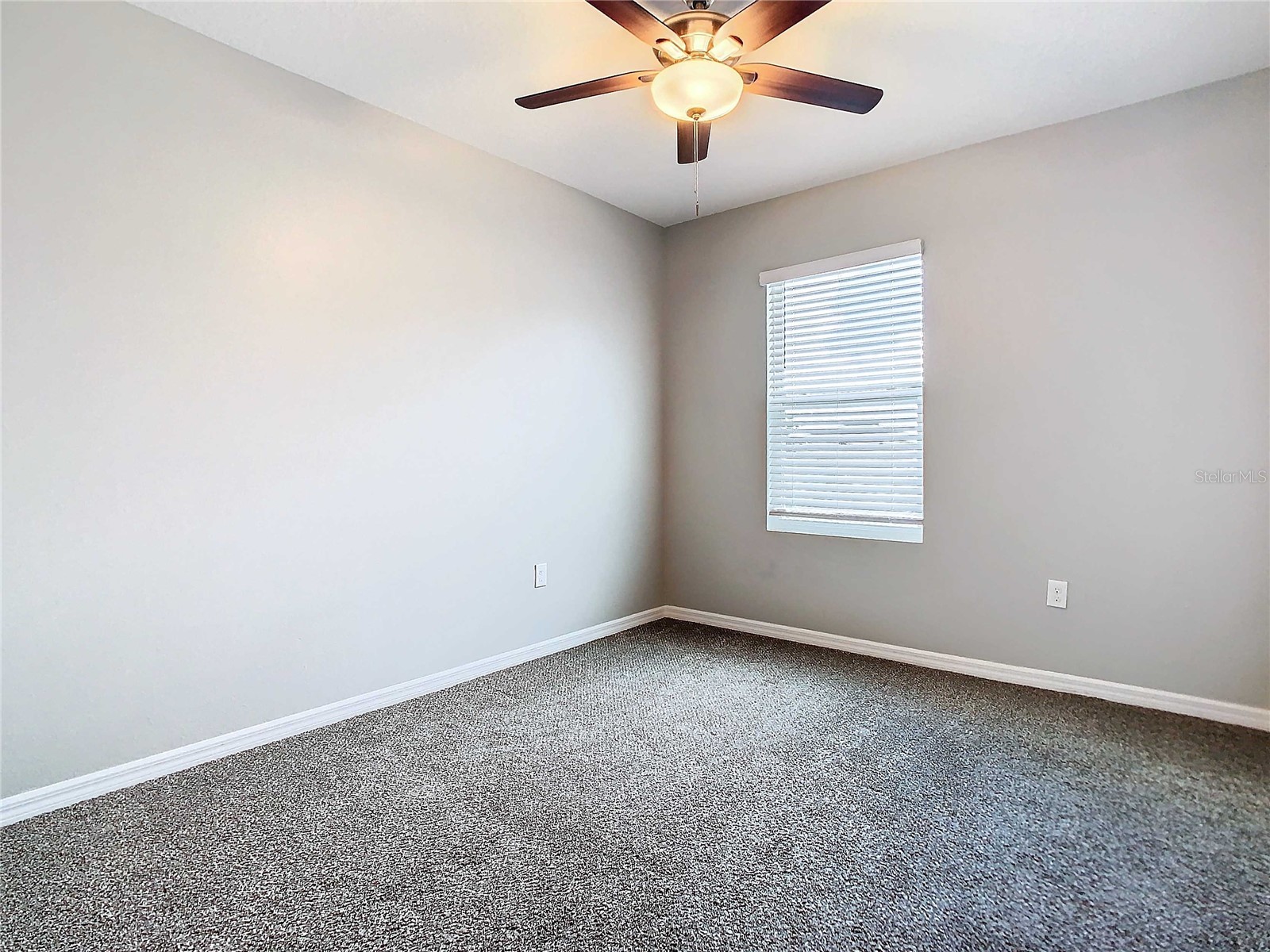32670 Ansley Bloom Lane Wesley Chapel FL 33543 TB8519105 image36