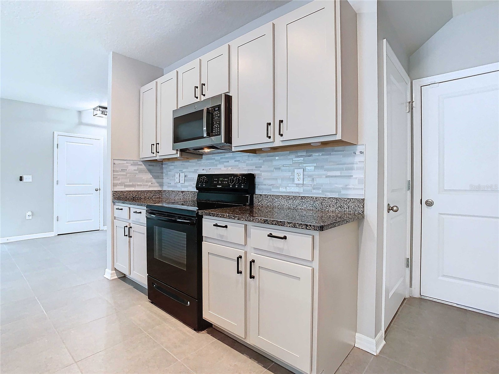 32670 Ansley Bloom Lane Wesley Chapel FL 33543 TB8519105 image8