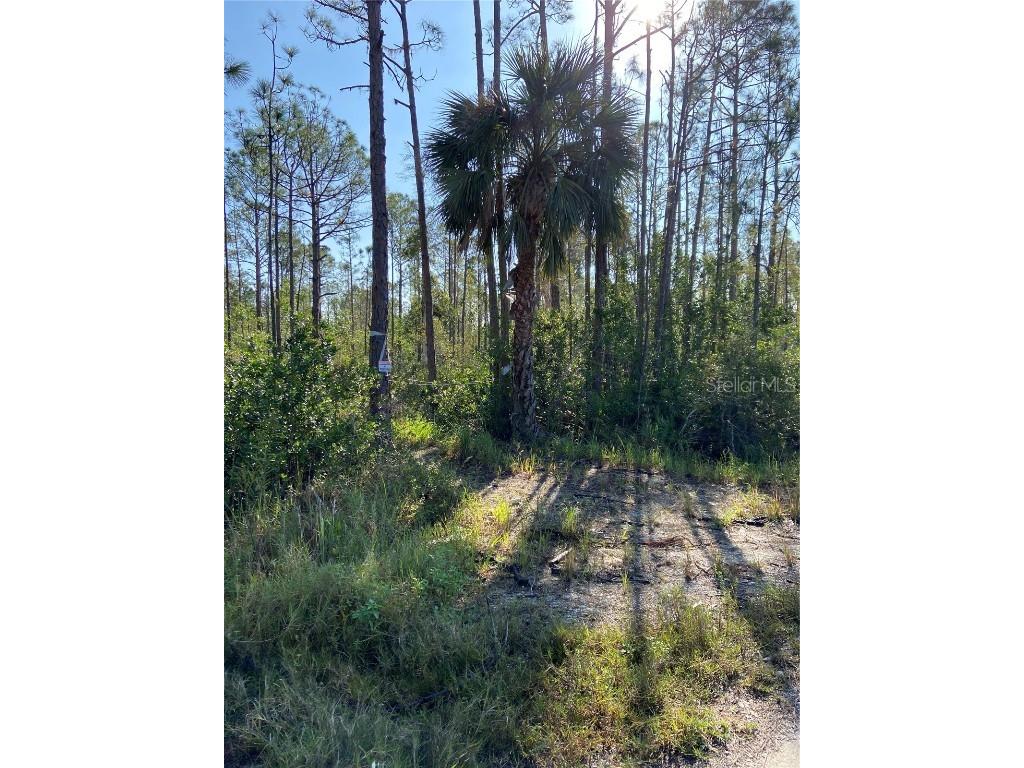 32672 Oil Well Road Punta Gorda FL 33955 C7469308 image1