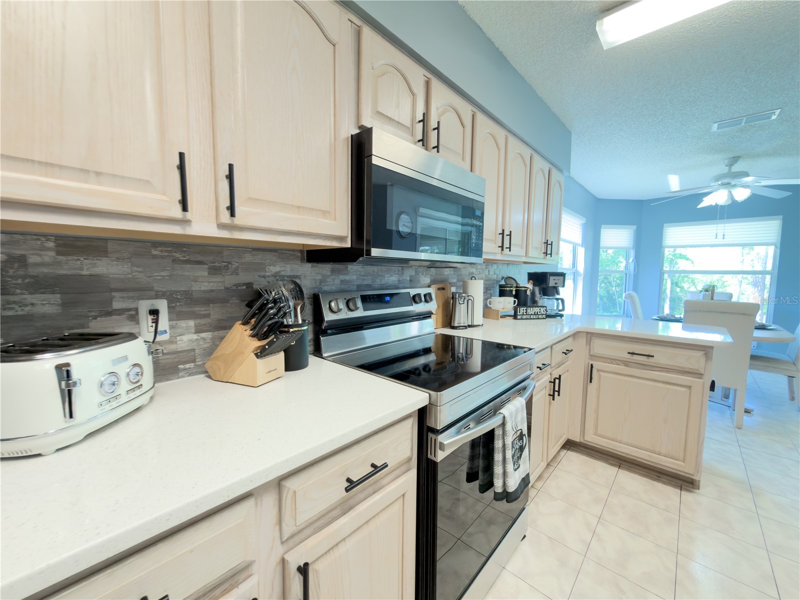 32676 Oak Park Drive Leesburg FL 34748 G5111662 image17