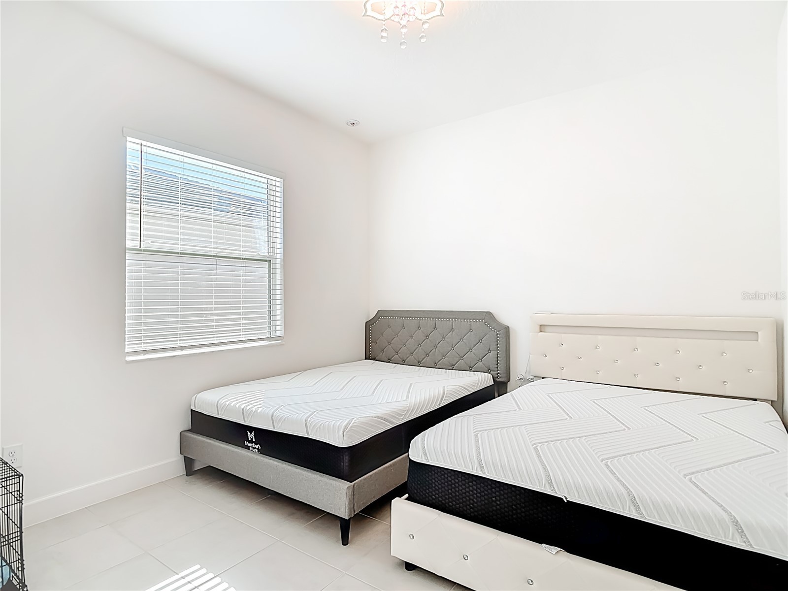 32676 Tree Of Life Avenue Wesley Chapel FL 33543 TB8469330 image23