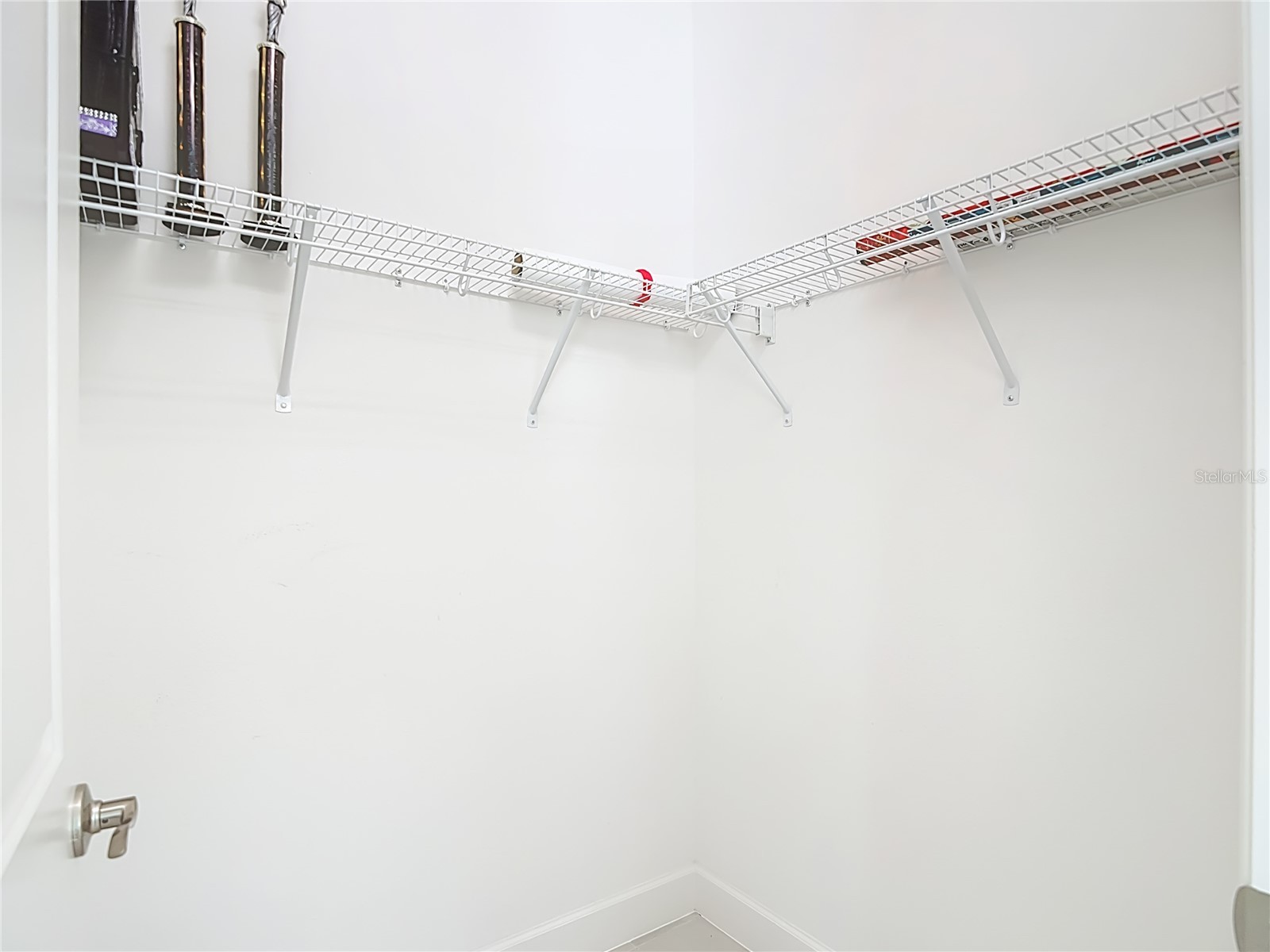 32676 Tree Of Life Avenue Wesley Chapel FL 33543 TB8469330 image24