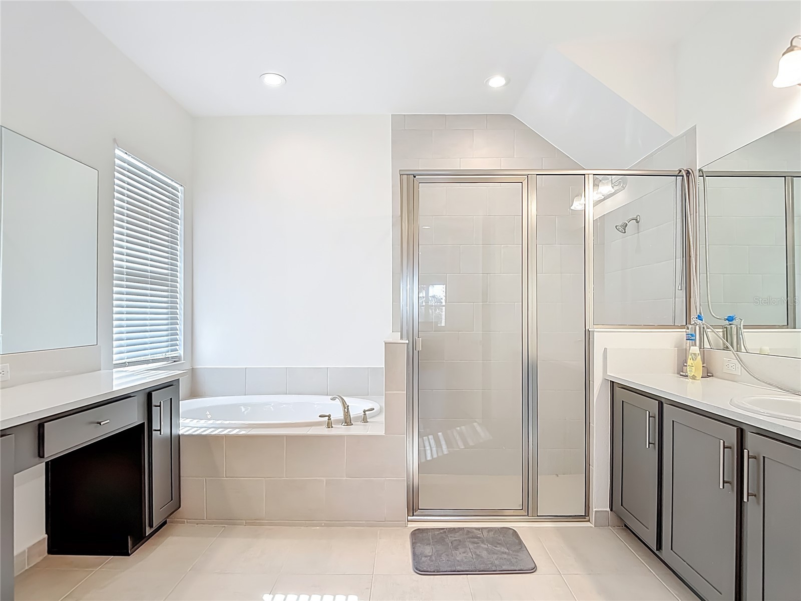 32676 Tree Of Life Avenue Wesley Chapel FL 33543 TB8469330 image27