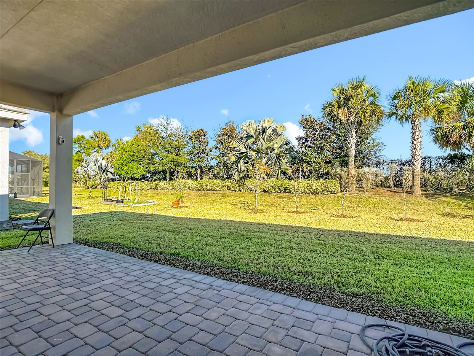 32676 Tree Of Life Avenue Wesley Chapel FL 33543 TB8469330 image36