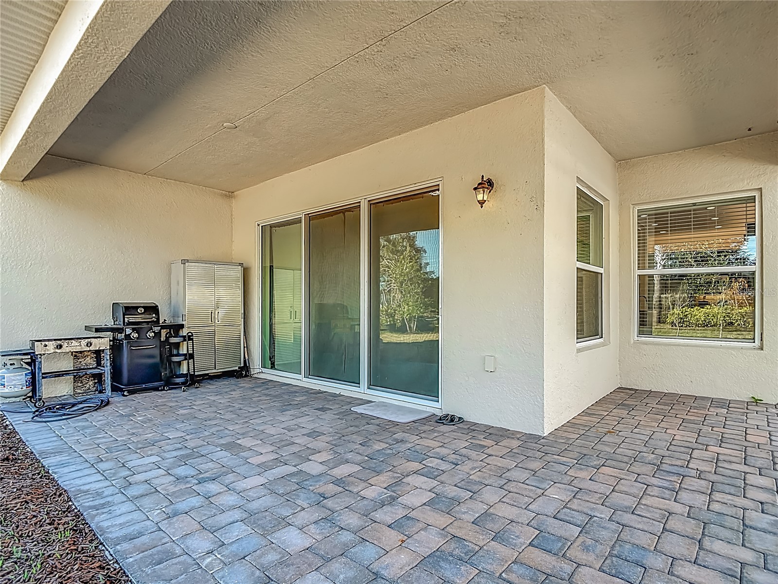 32676 Tree Of Life Avenue Wesley Chapel FL 33543 TB8469330 image38